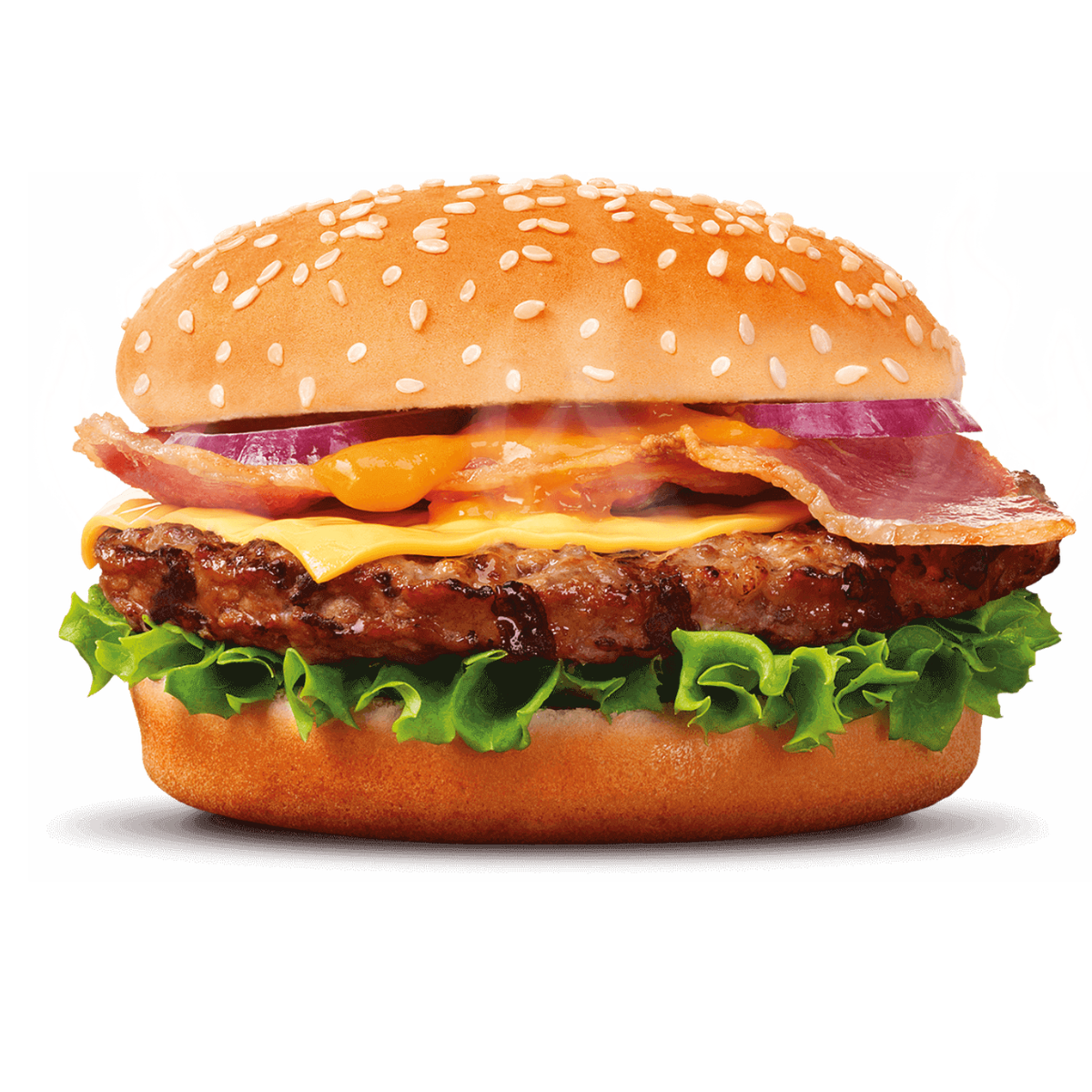 Signature Burger + Fries